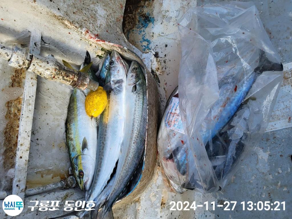 F25814581Q.jpg