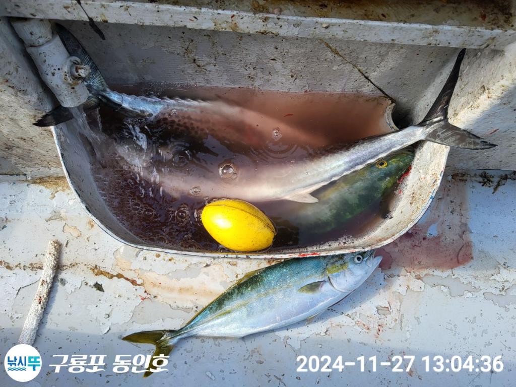 F2581462LZ.jpg