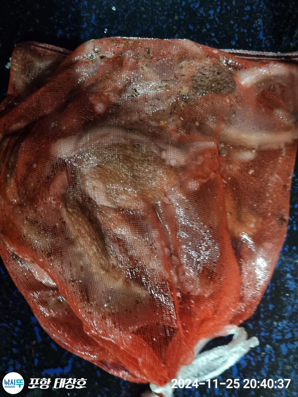 F258160319.jpg