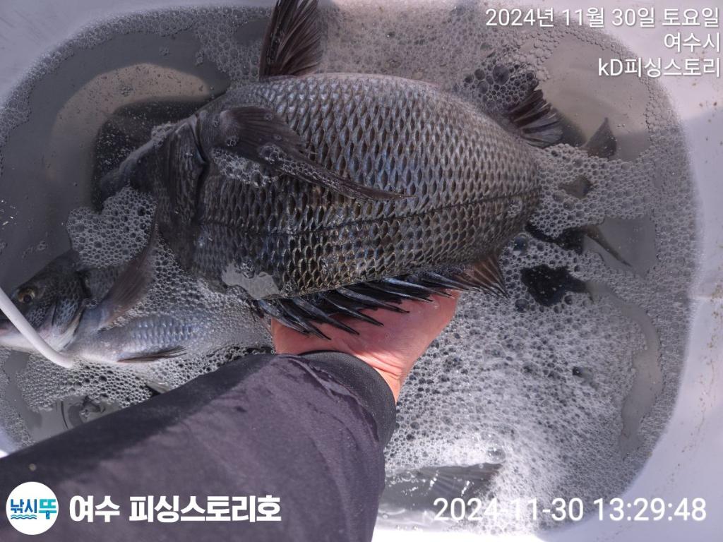 낚시뚜,감성돔,여수소호선착장,여수피싱스토리,낚시뚜2