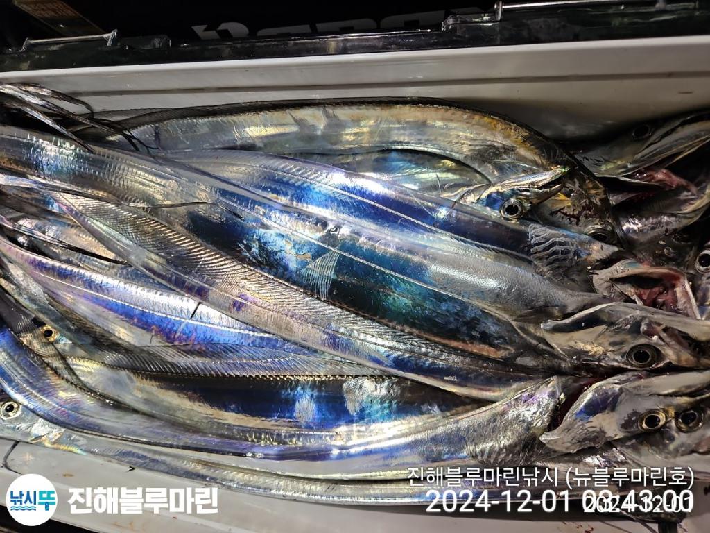 F2583472QK.jpg