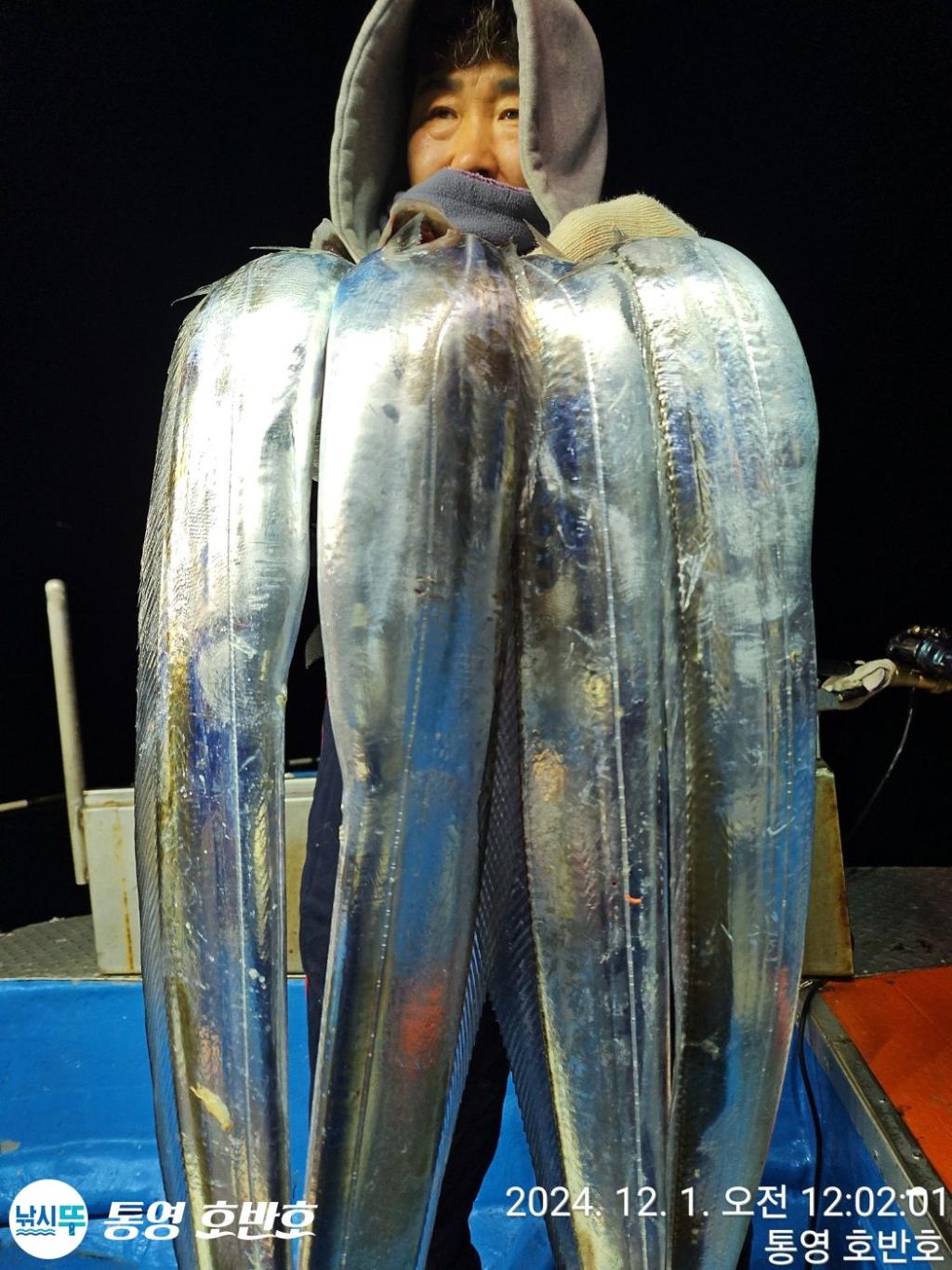 낚시뚜,갈치,통영 신전항,통영호반호,낚시뚜32