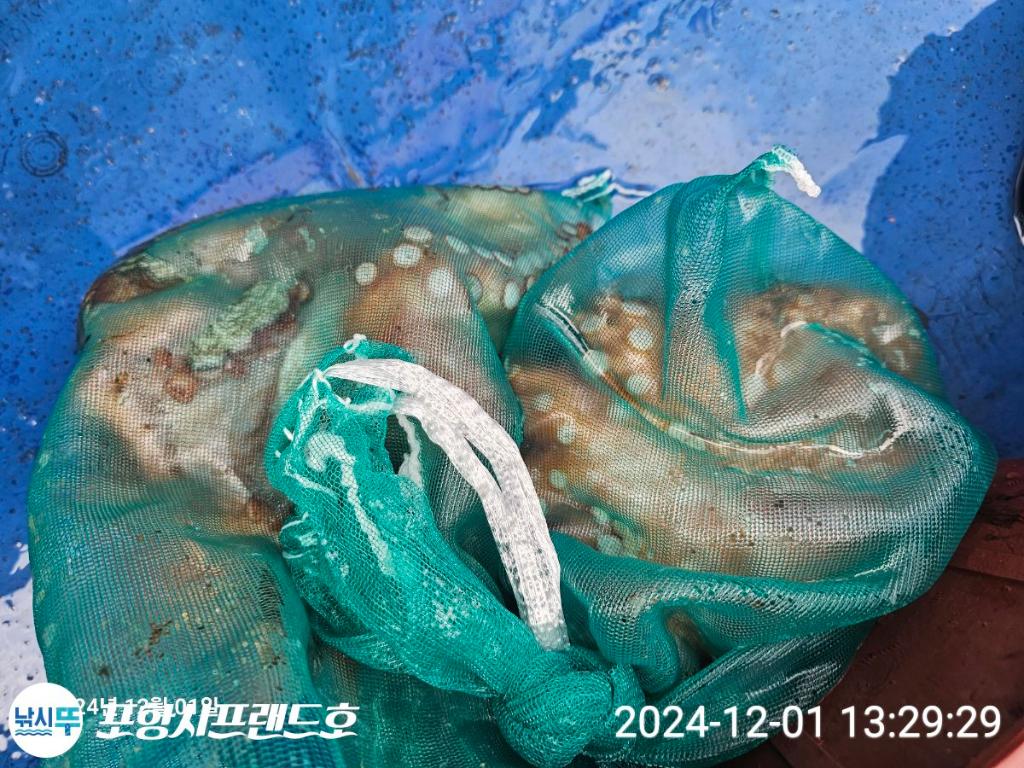 F2584829MA.jpg