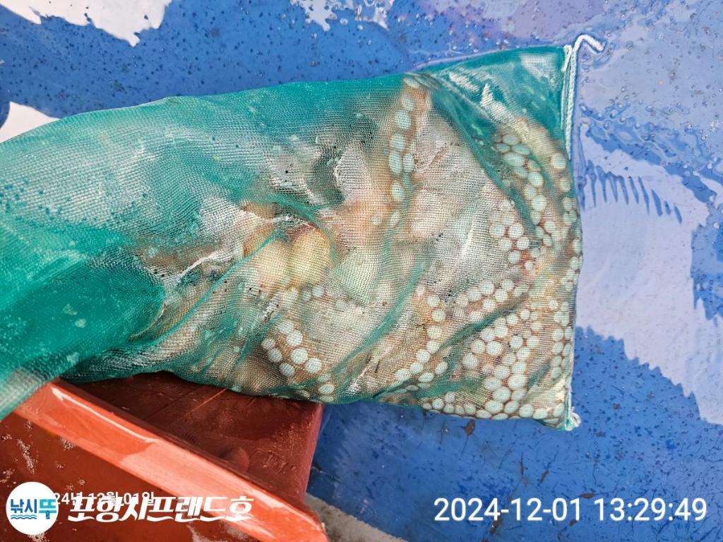 F2584830SP.jpg