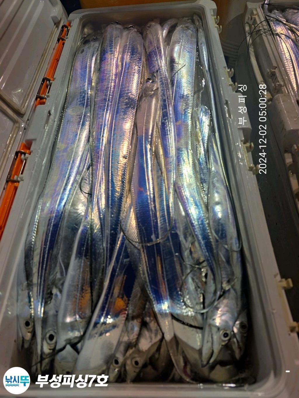 F2585145LL.jpg