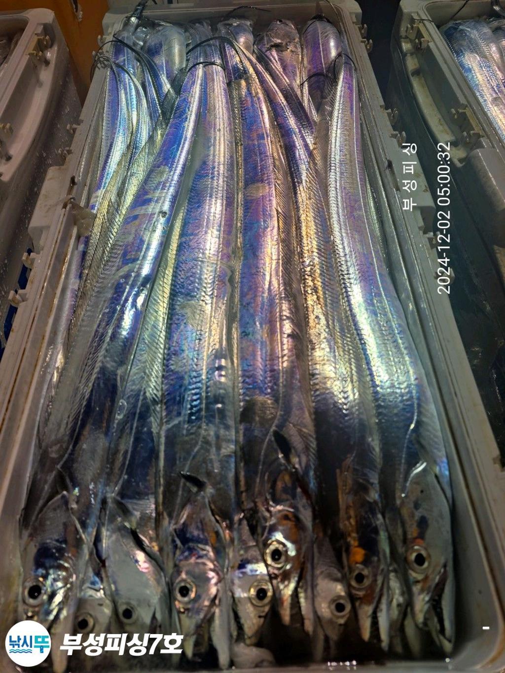 F25851464Y.jpg