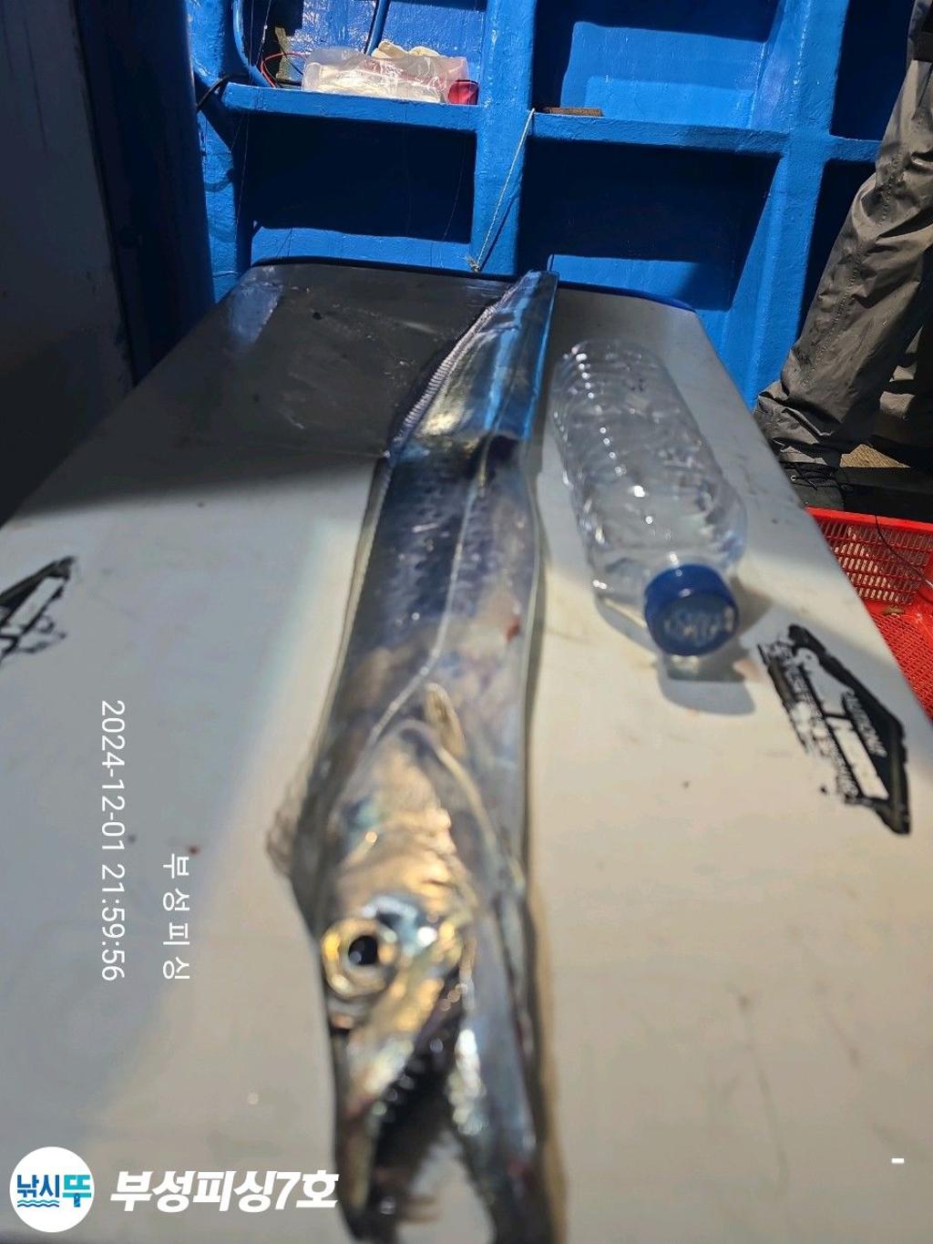 F2585159YI.jpg