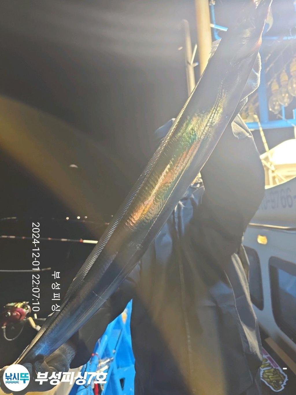 F2585172LW.jpg