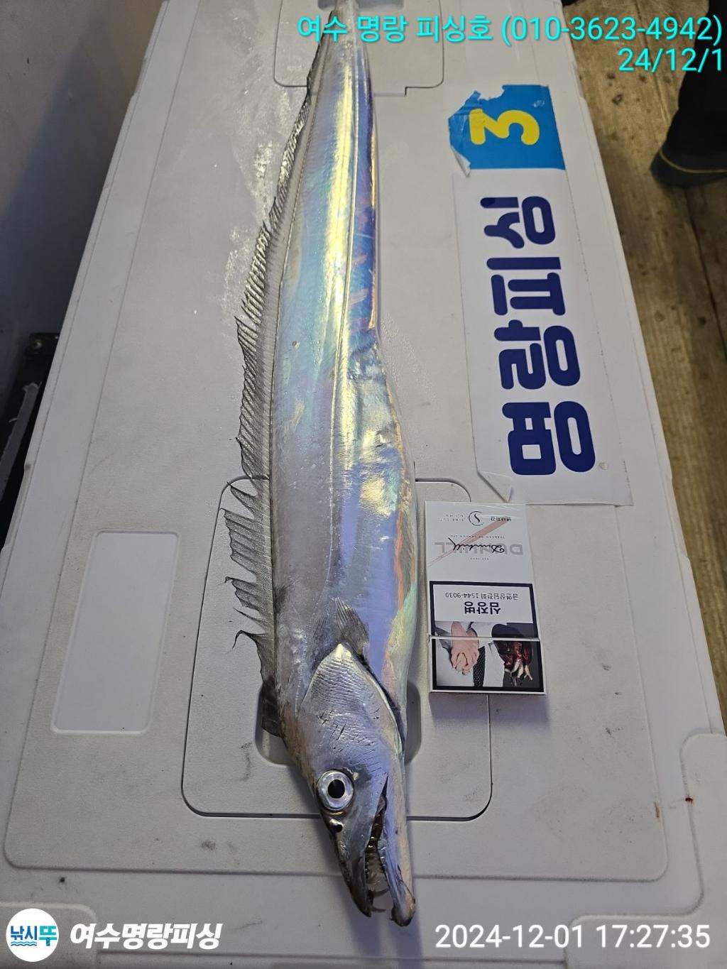 F2586175CM.jpg