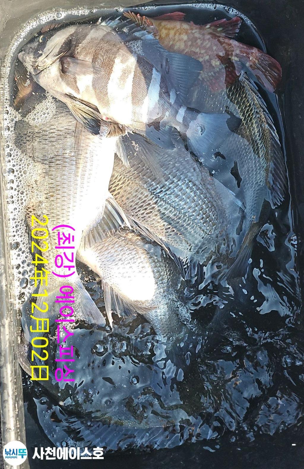 F2586421DZ.jpg