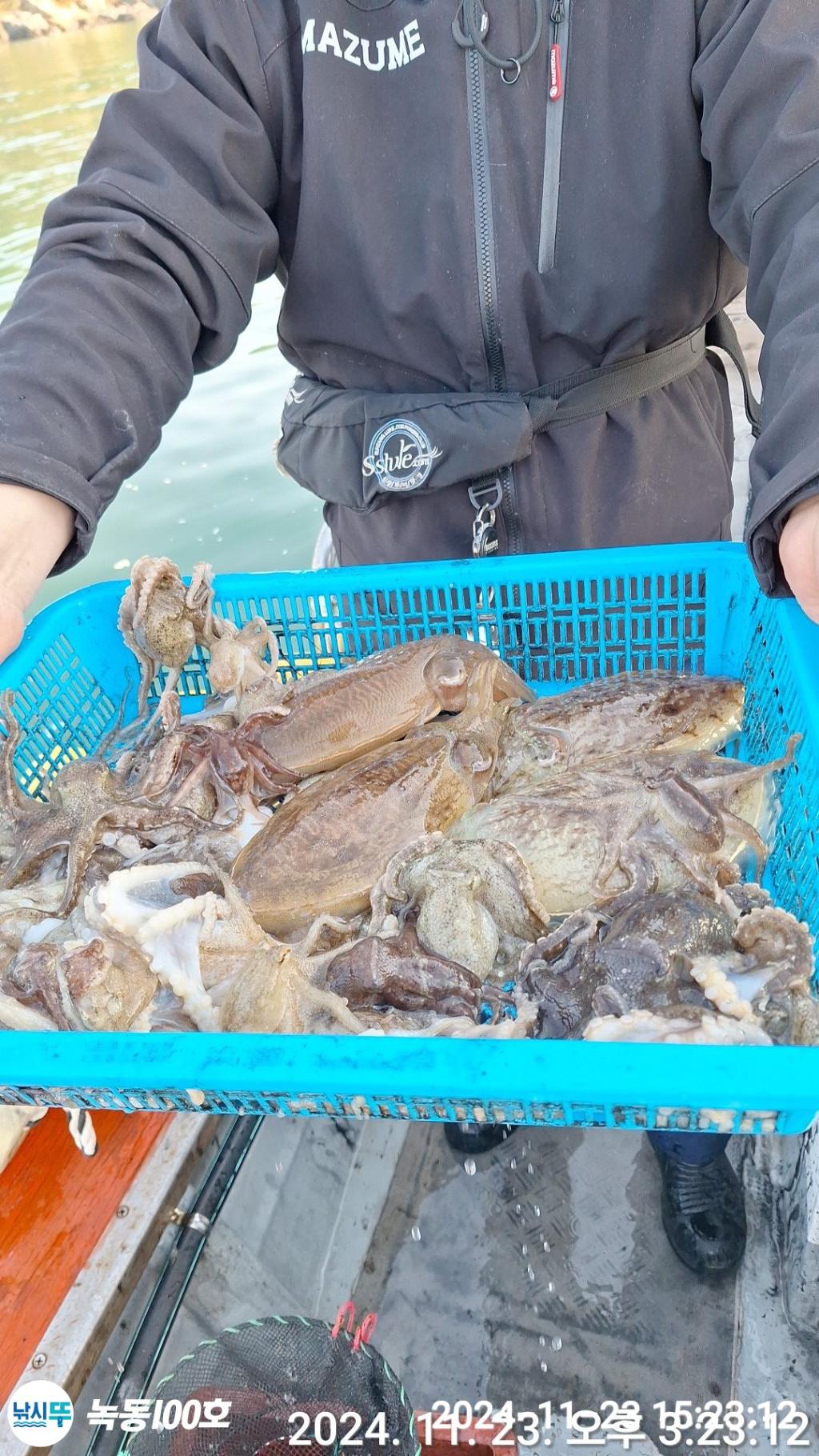 낚시뚜,쭈꾸미,녹동항,녹동100호,낚시뚜5