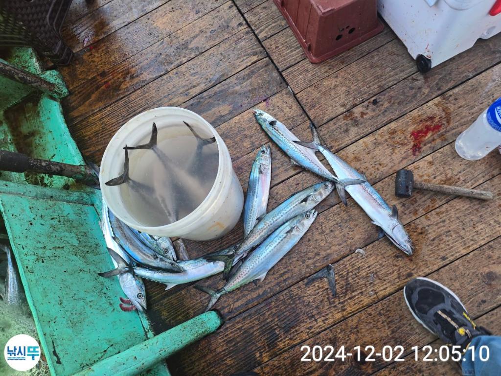 F2586639KX.jpg
