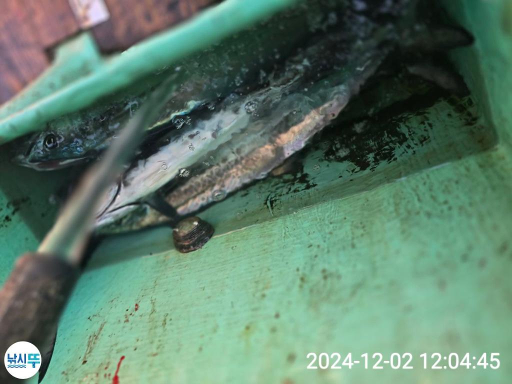 F2586645J4.jpg