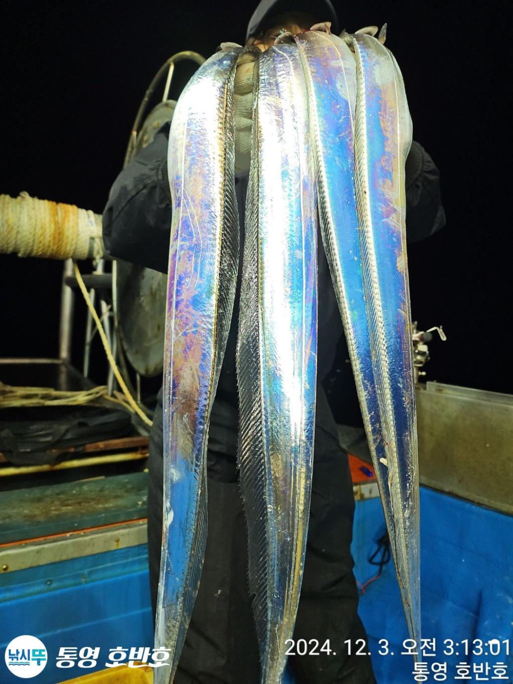 낚시뚜,갈치,통영 신전항,통영호반호,낚시뚜7