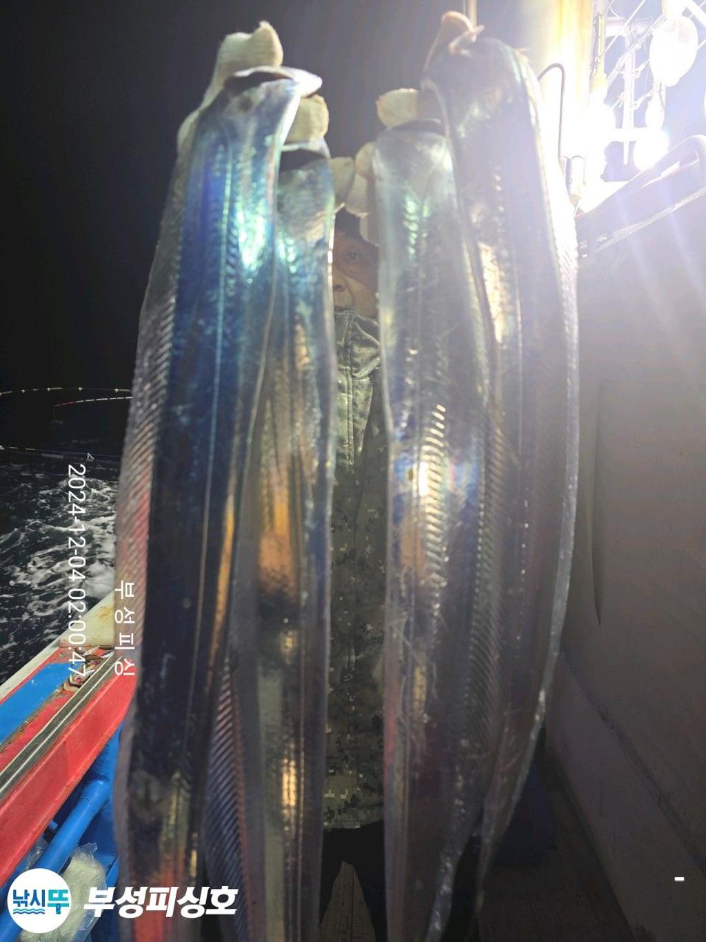 F2587377DT.jpg