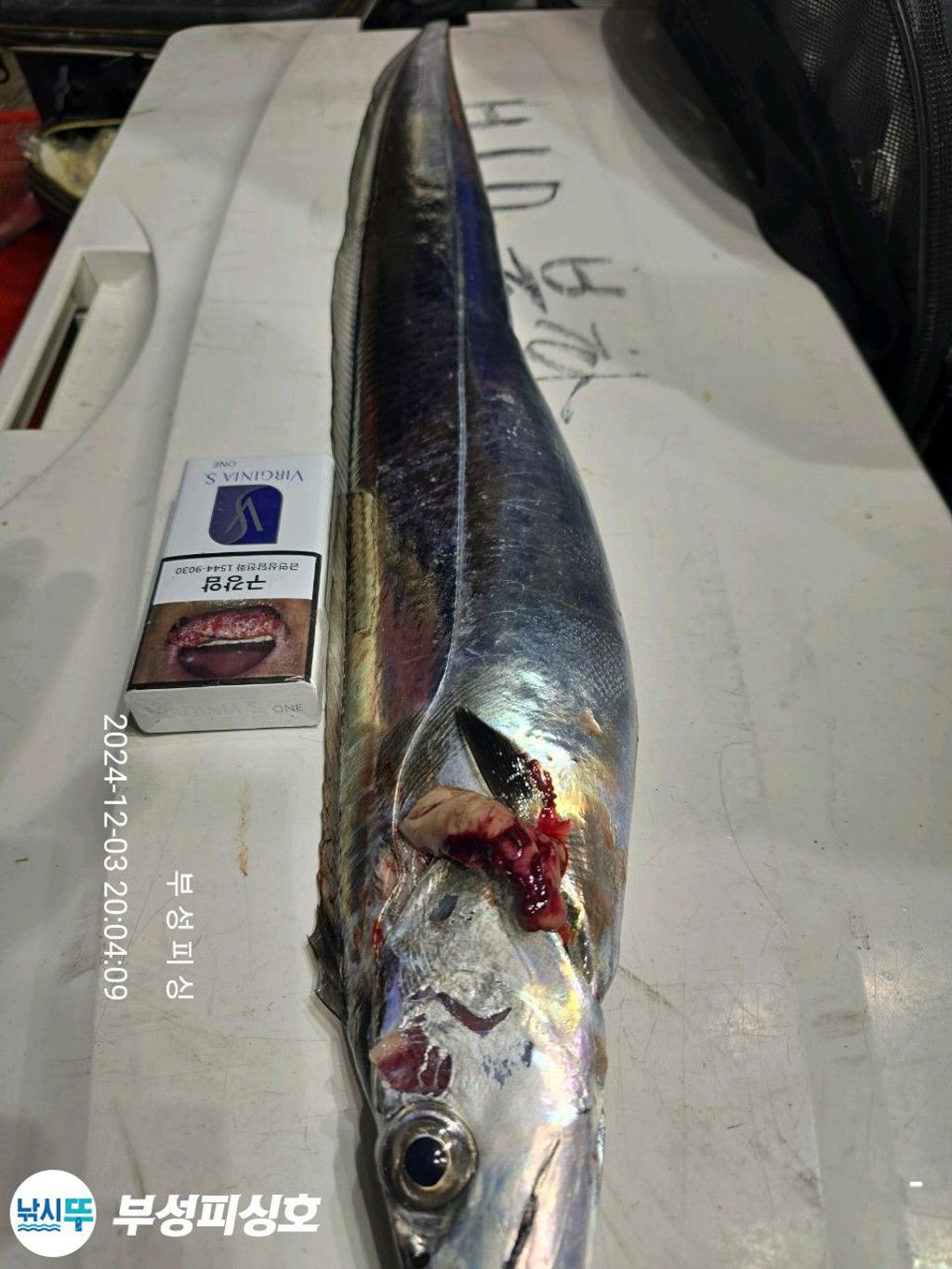 F2587379YB.jpg