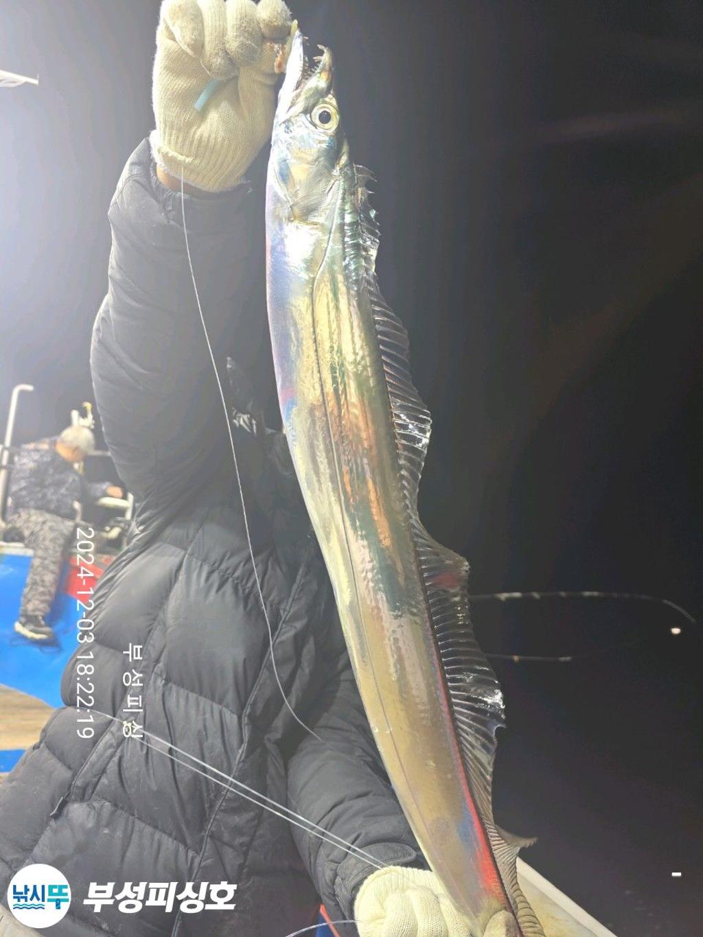 F2587385P5.jpg