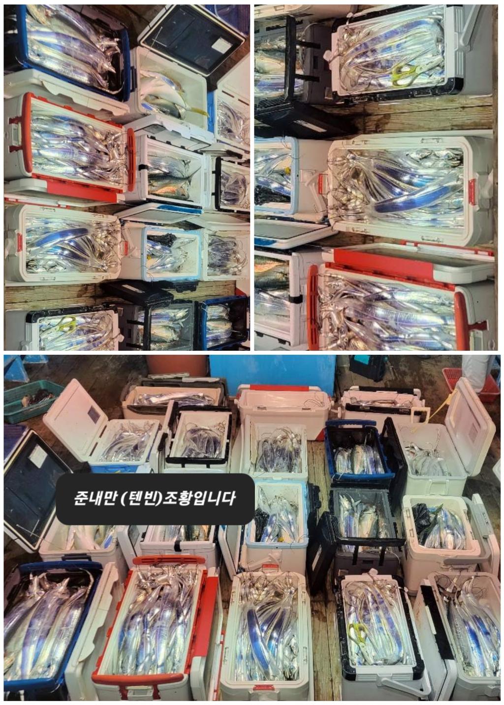 갈치, 삼포대교낚시, 낚시뚜