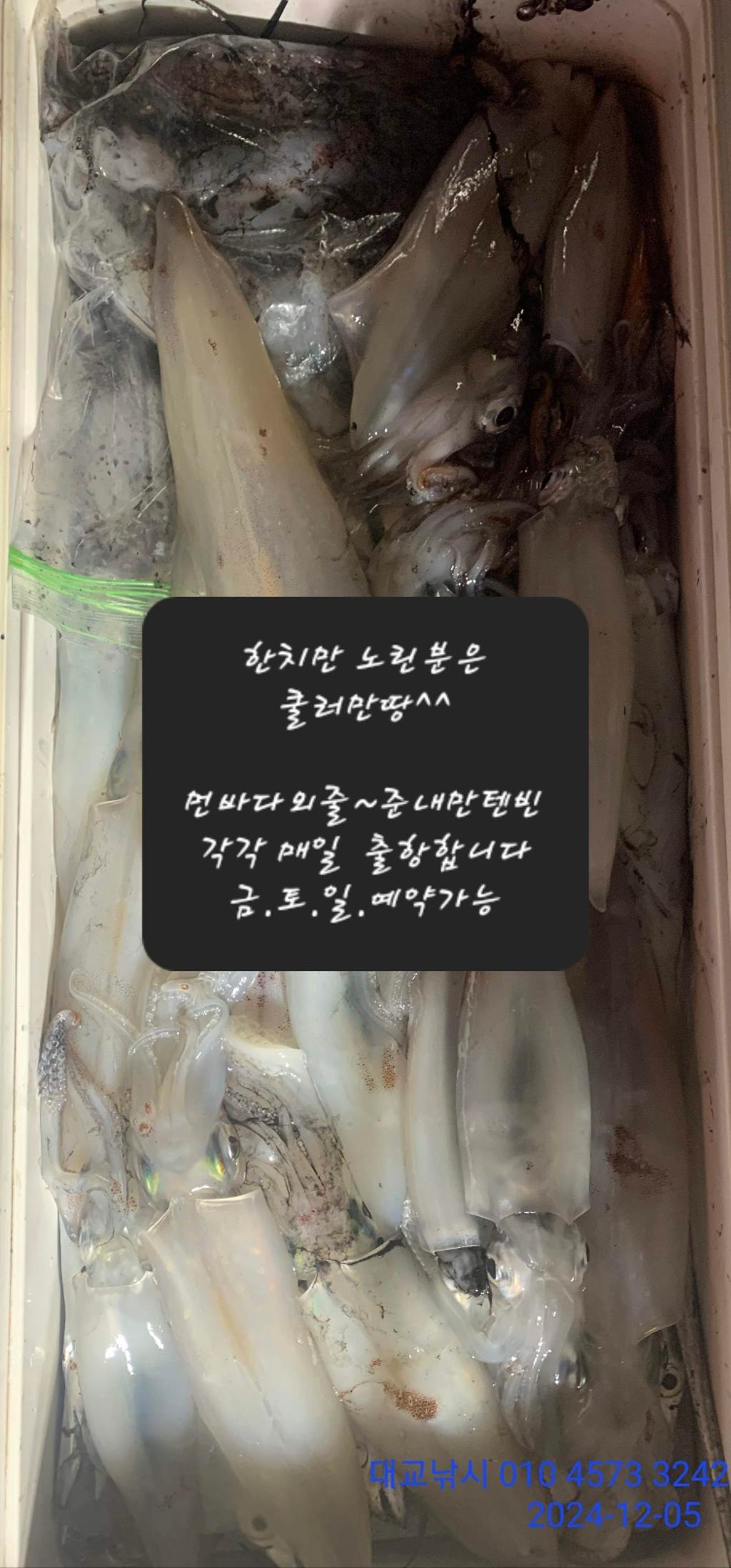 기타 (직접입력), 삼포대교낚시, 낚시뚜