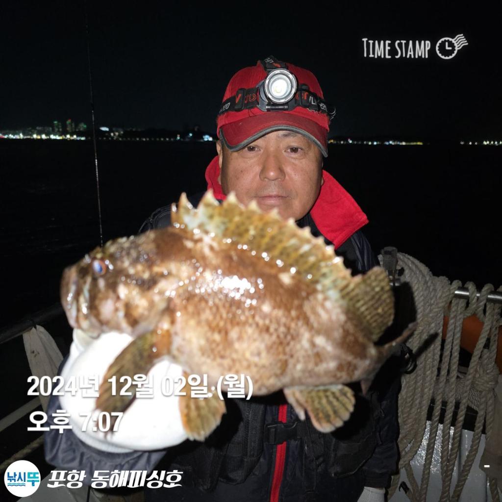 F2588909Q7.jpg