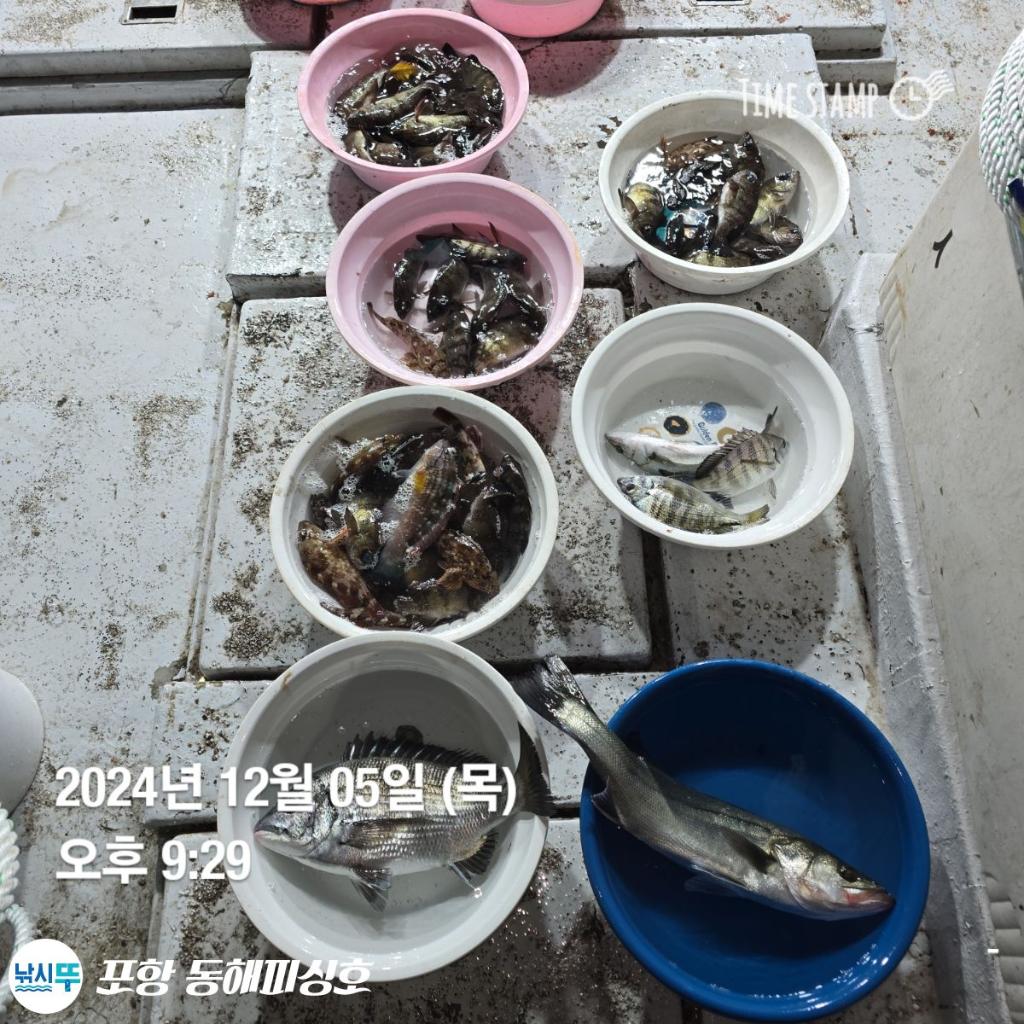 F25889195T.jpg