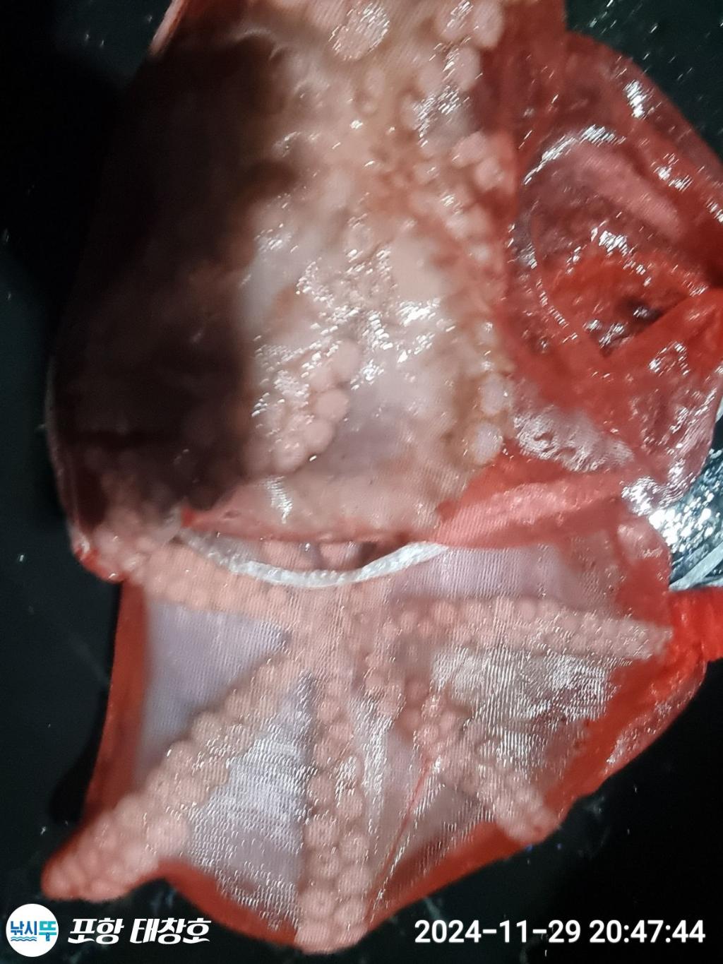 F25890904C.jpg