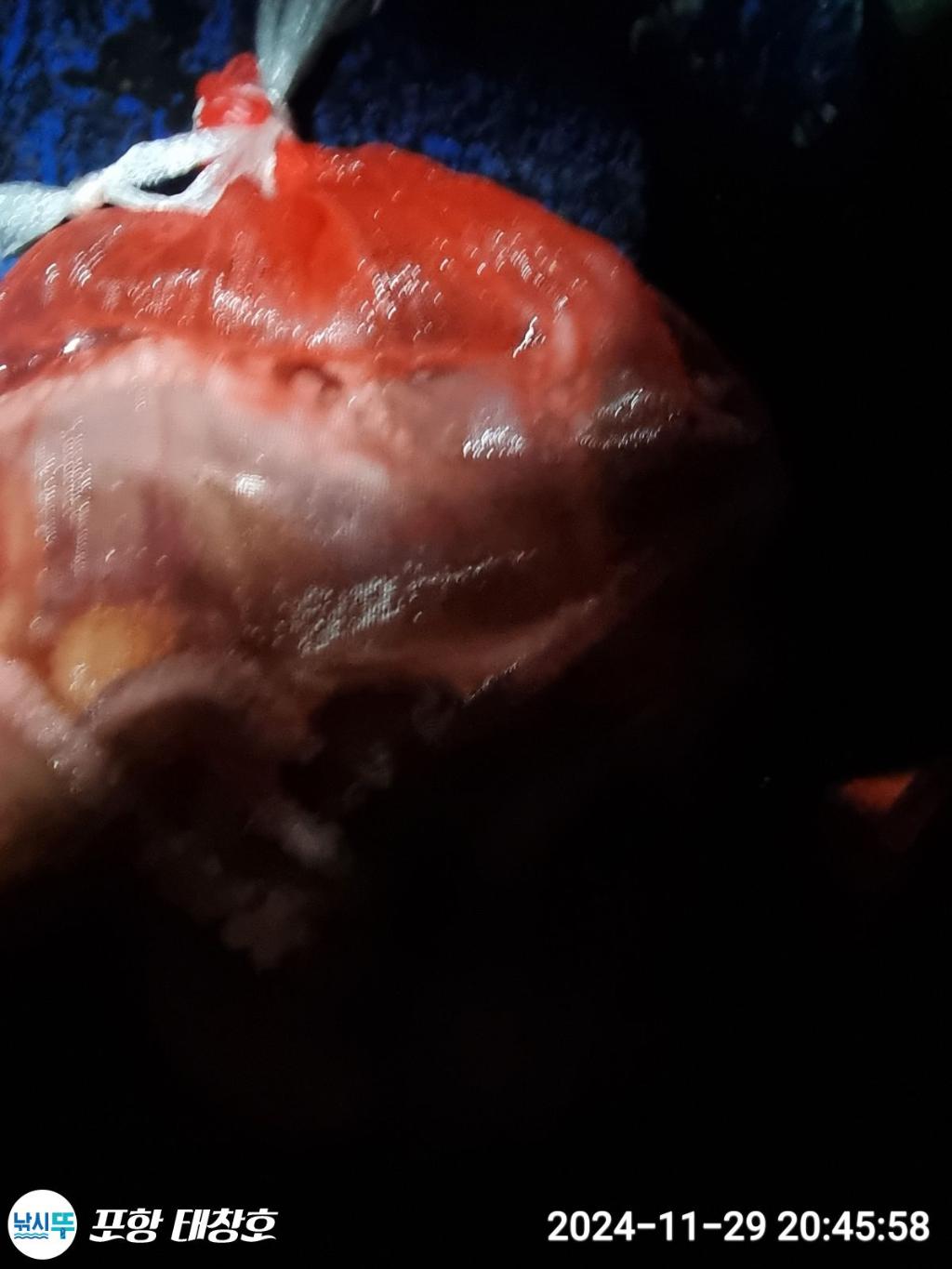 F2589094MP.jpg