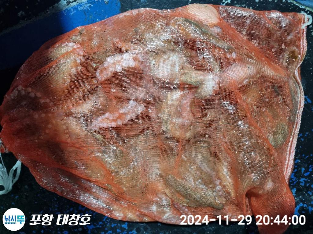 F2589096UM.jpg