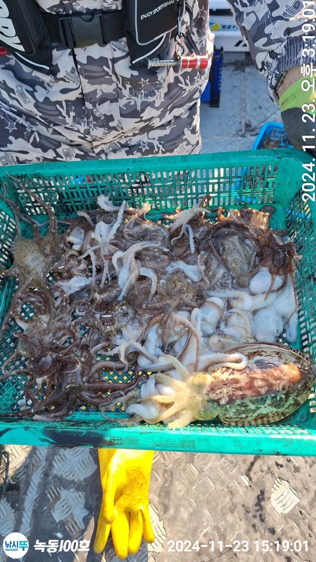낚시뚜,쭈꾸미,녹동항,녹동100호,낚시뚜2
