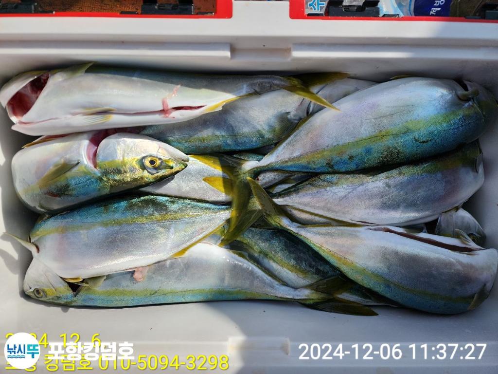 F2589291KW.jpg