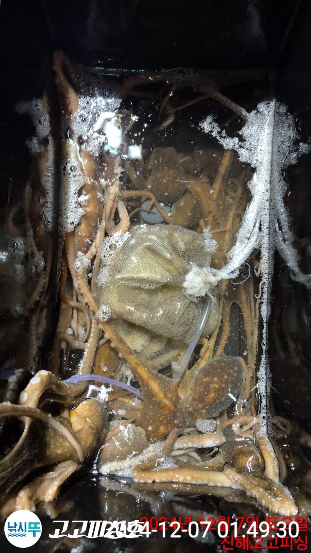 F258969053.jpg