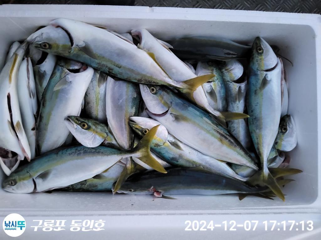 F2590315XS.jpg
