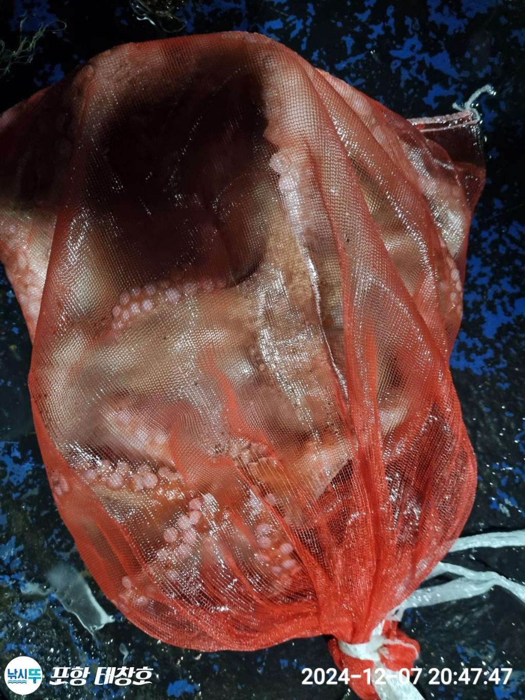 F259033742.jpg