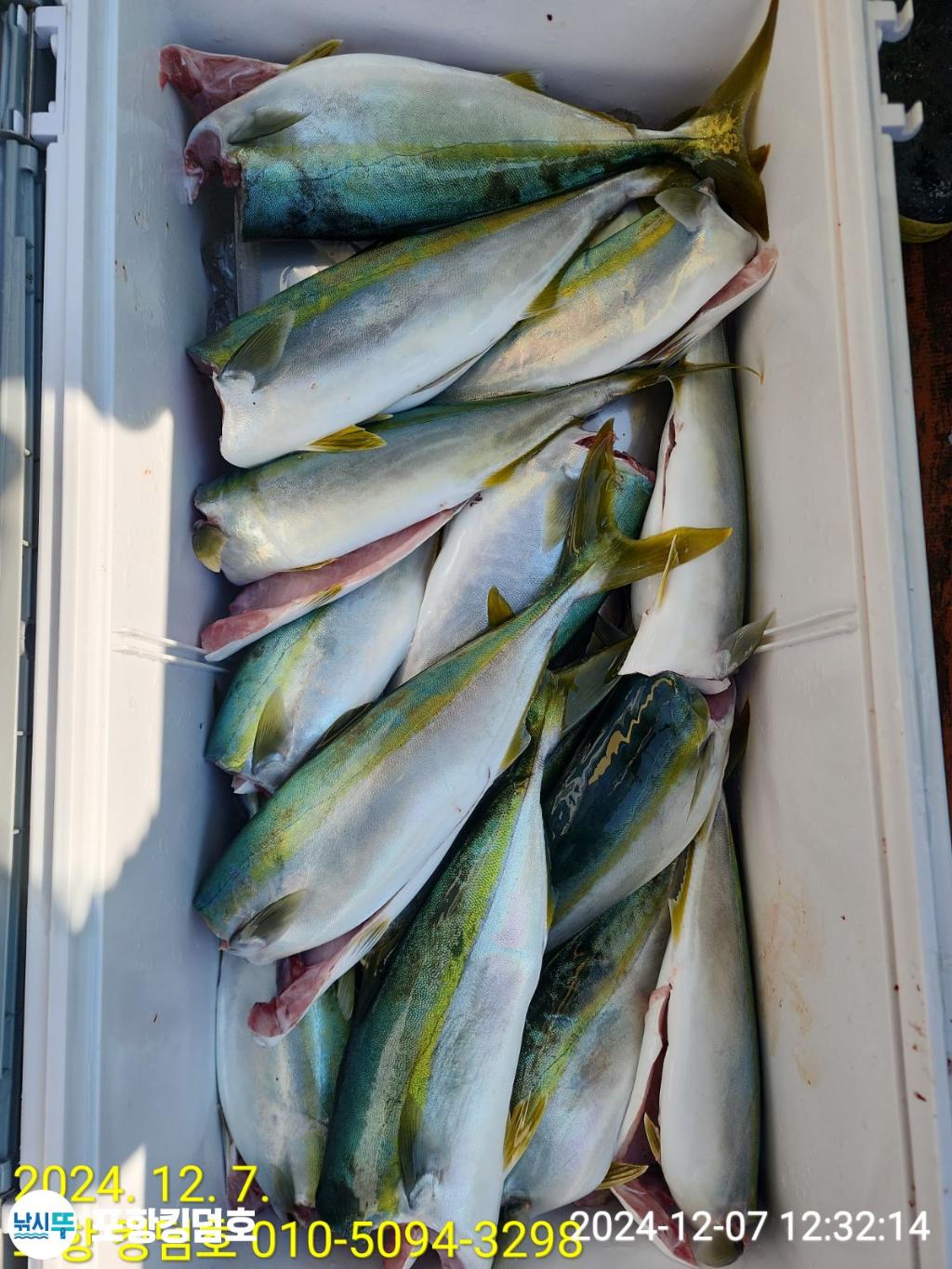 F2590596G1.jpg
