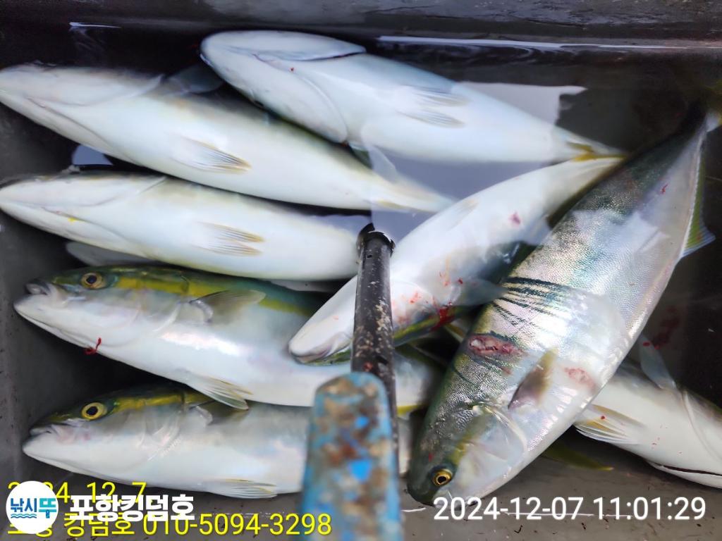 F2590601SK.jpg