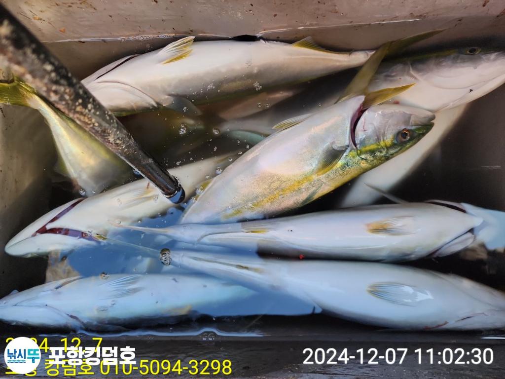F2590617HD.jpg