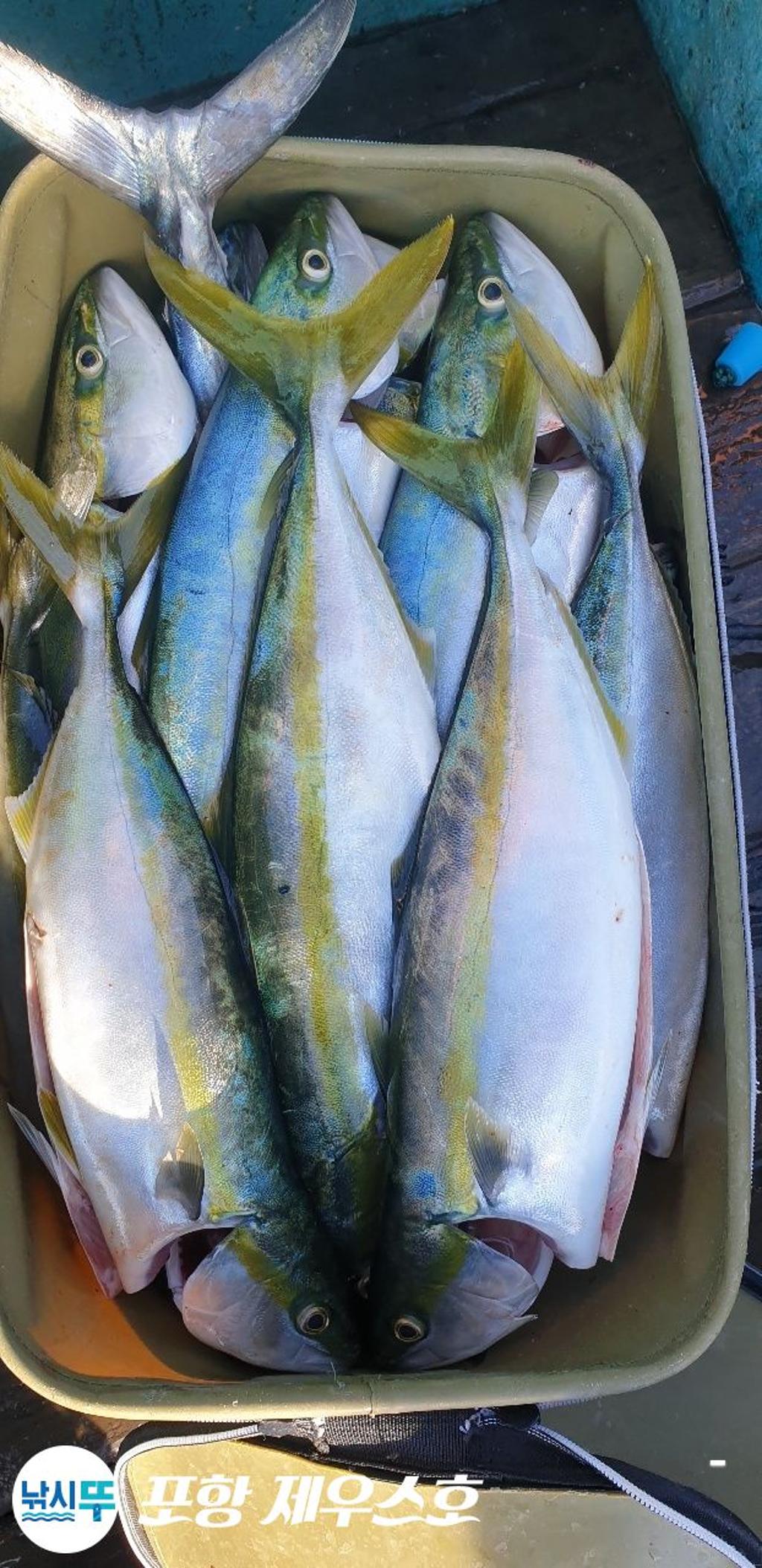 F2590954IE.jpg