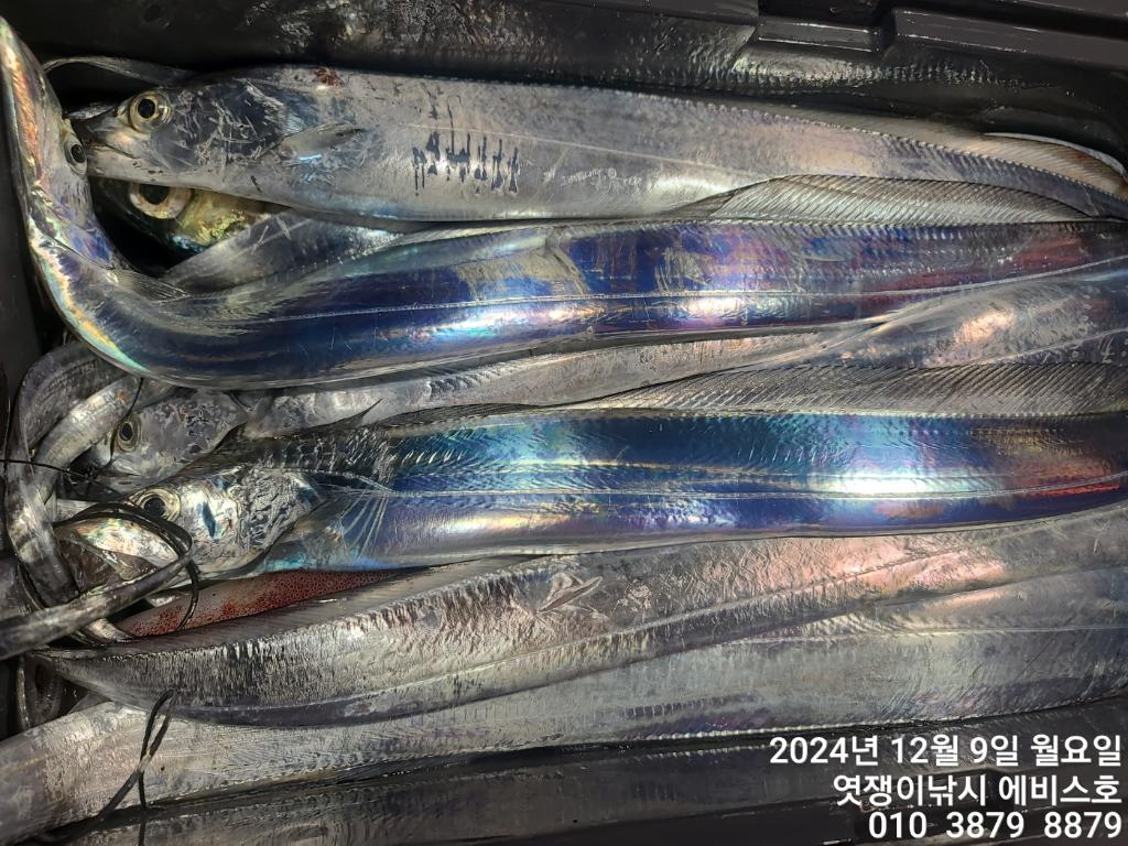 F2591121HO.jpg