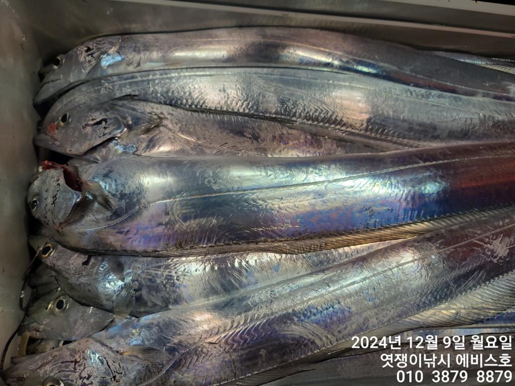 F2591123K5.jpg