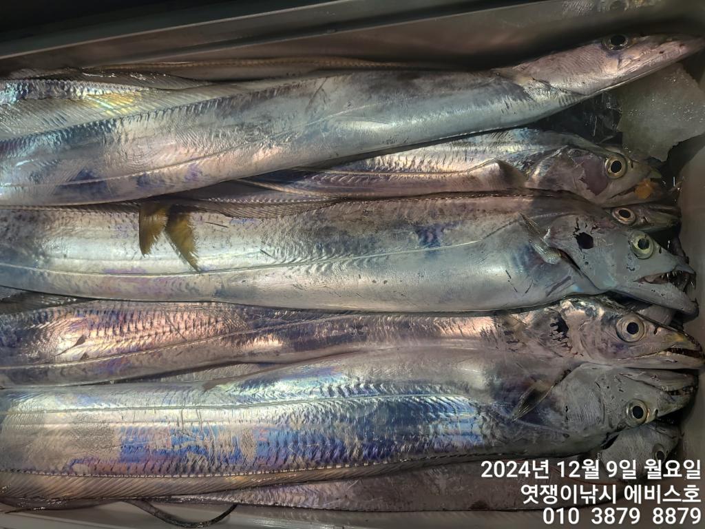 F25911254S.jpg