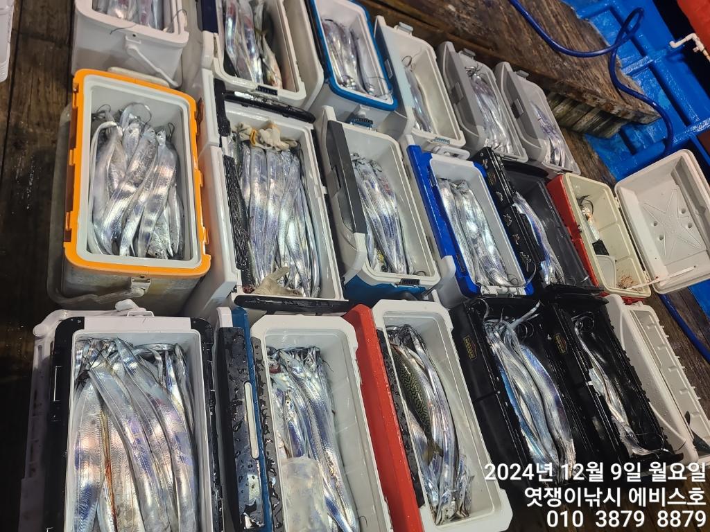 F2591140LL.jpg