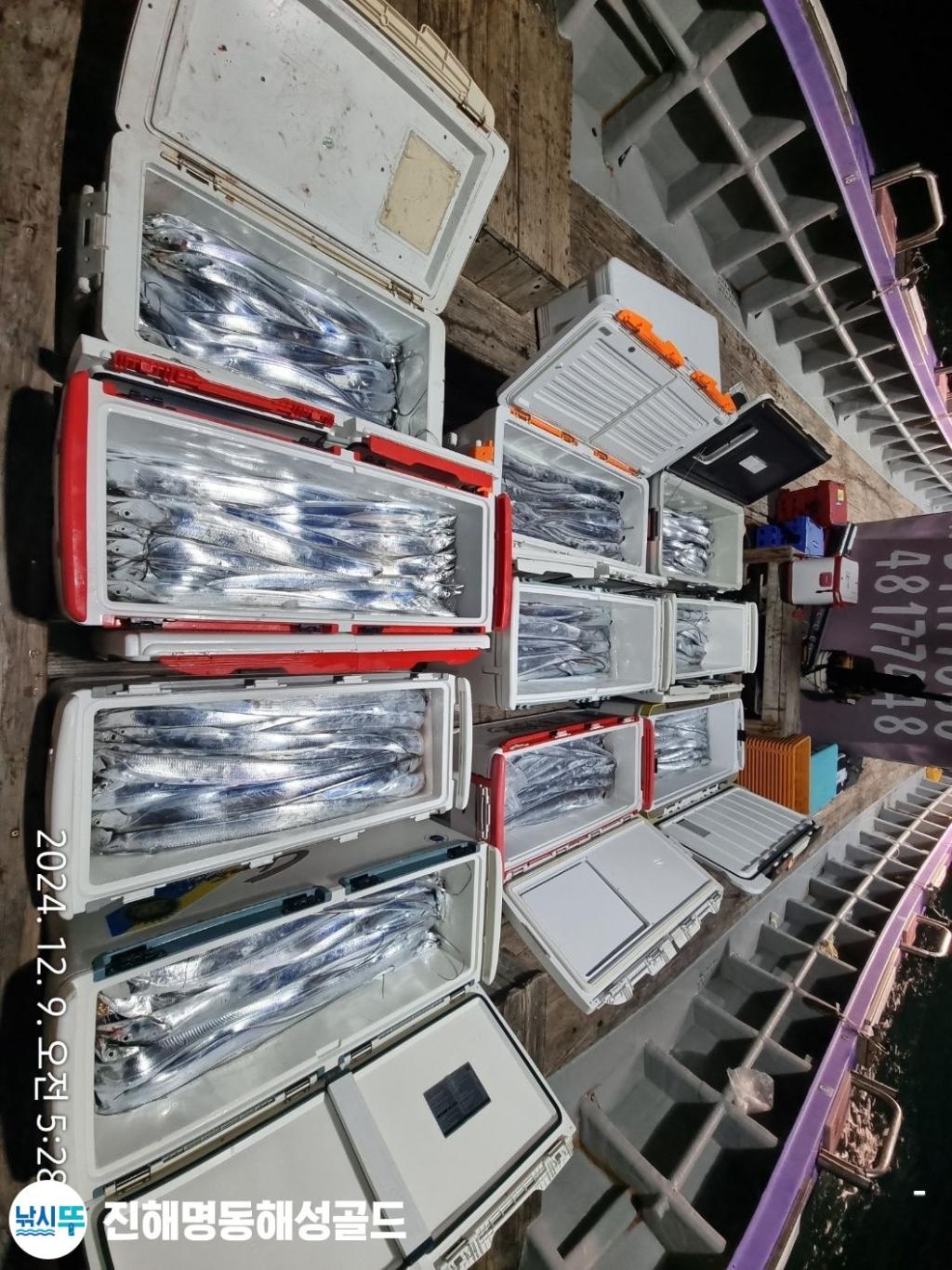 F25917008S.jpg