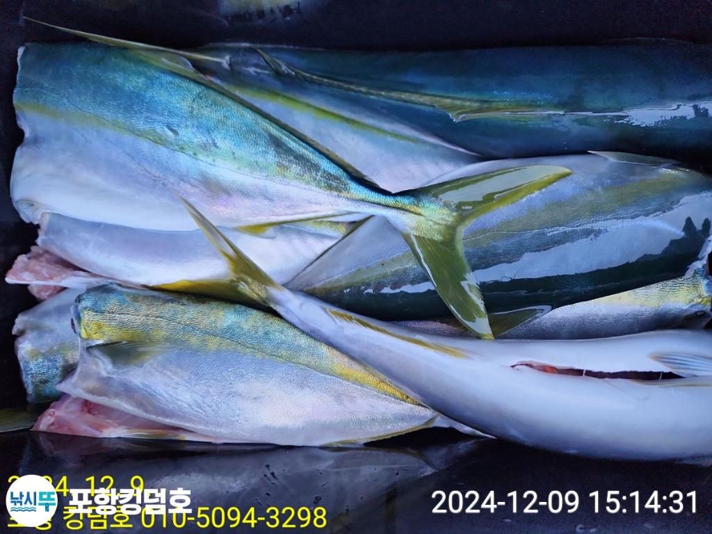 F2591727CC.jpg