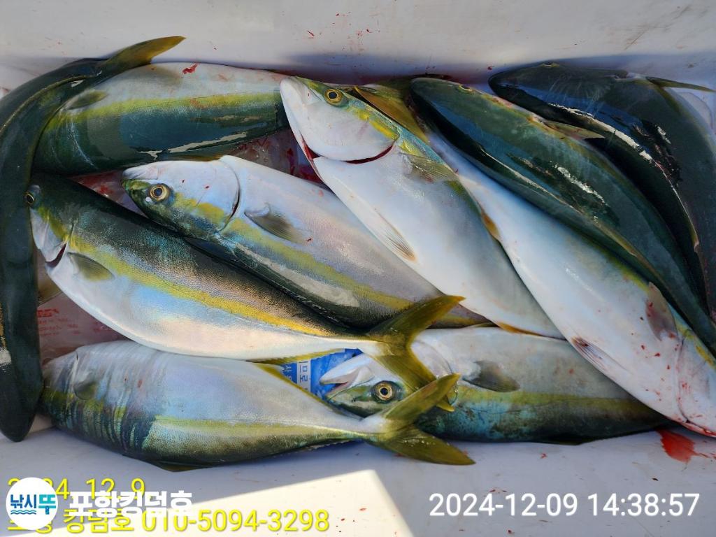 F2591736B3.jpg