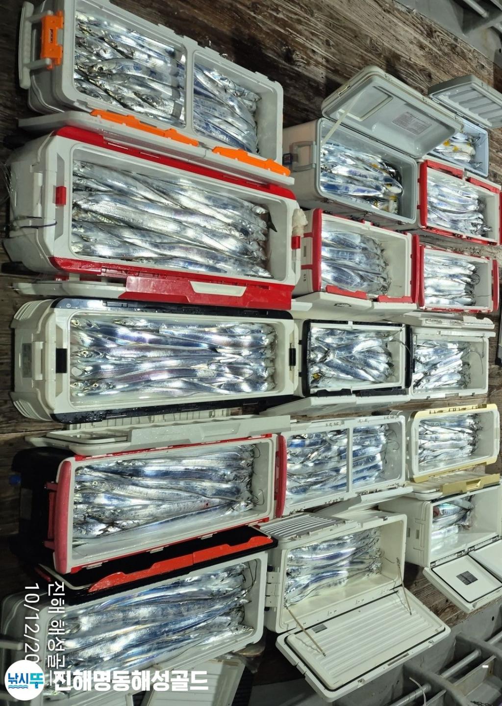 F2592285FY.jpg