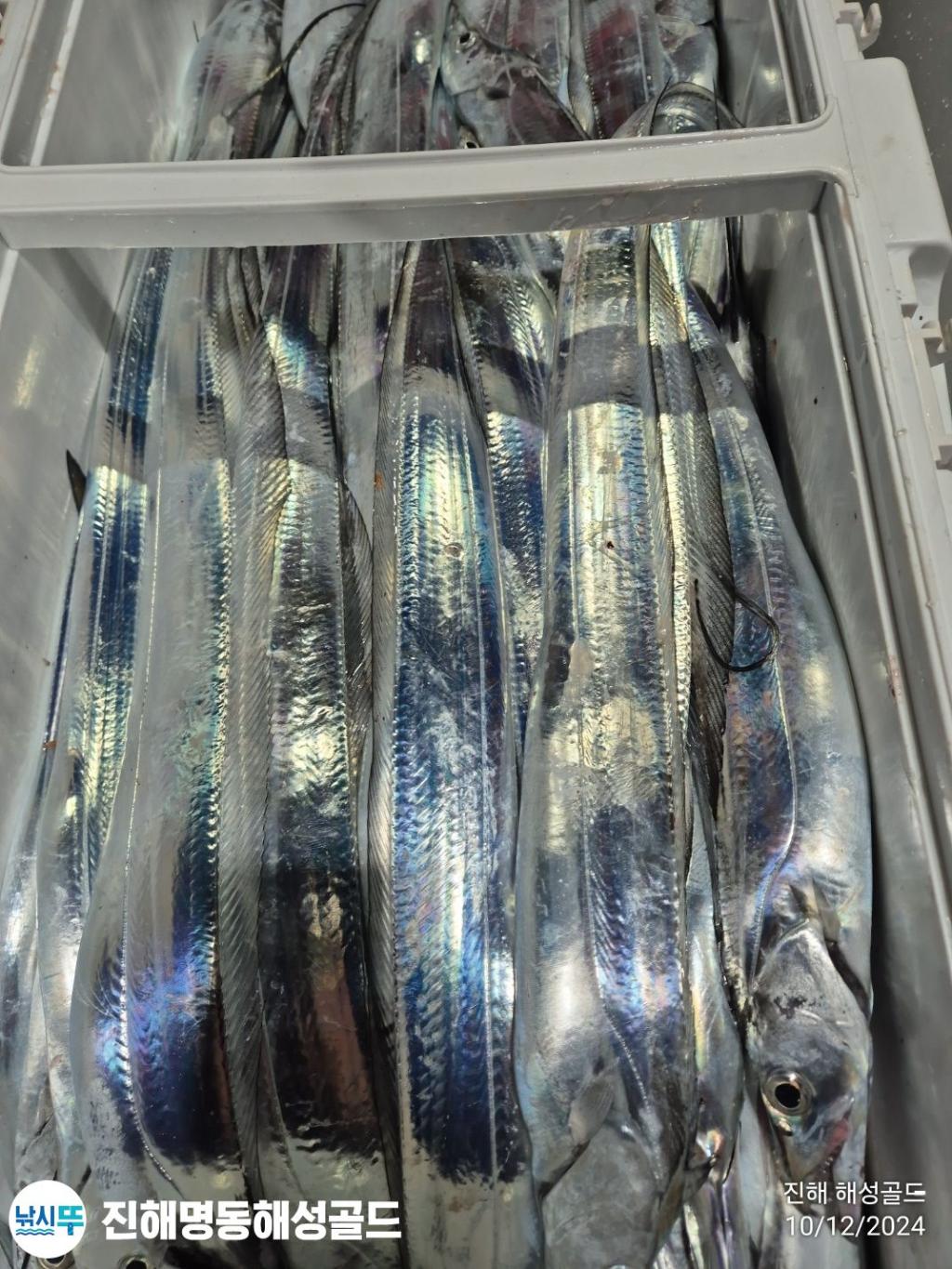 F2592290P7.jpg