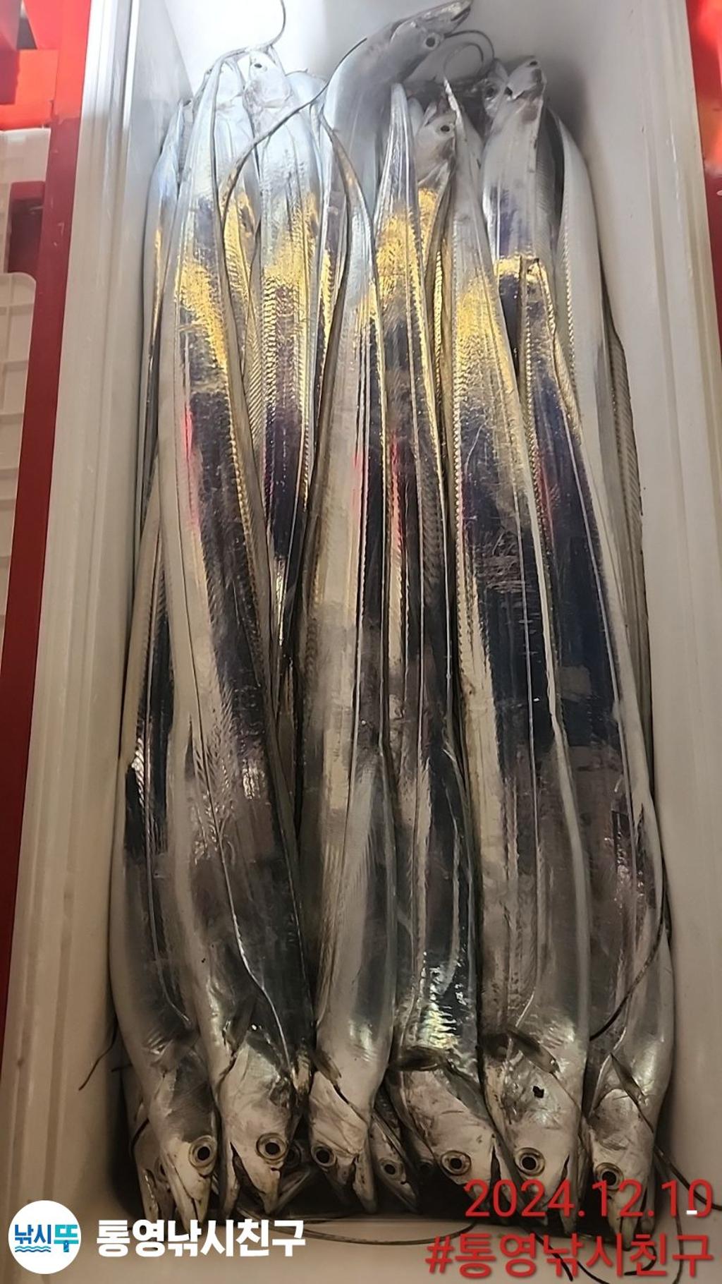 F259267106.jpg