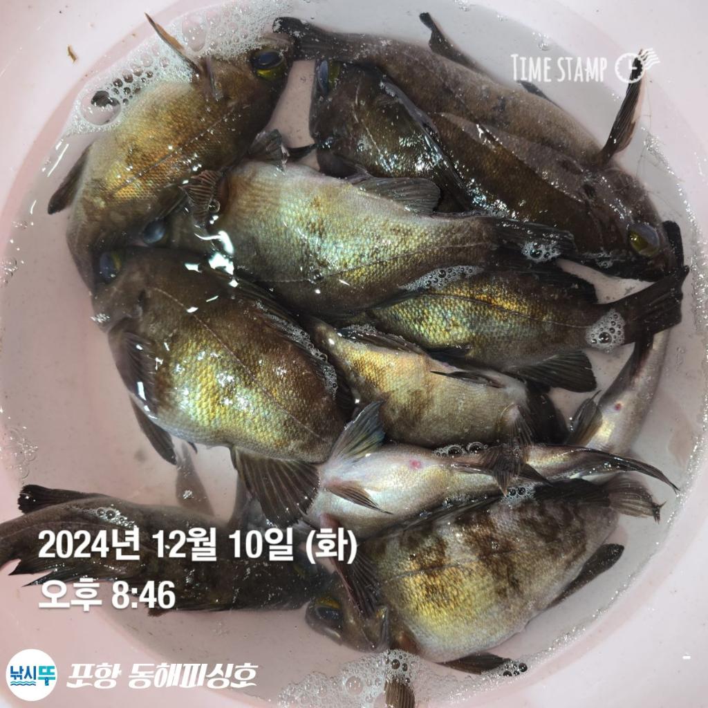 F2592927PL.jpg