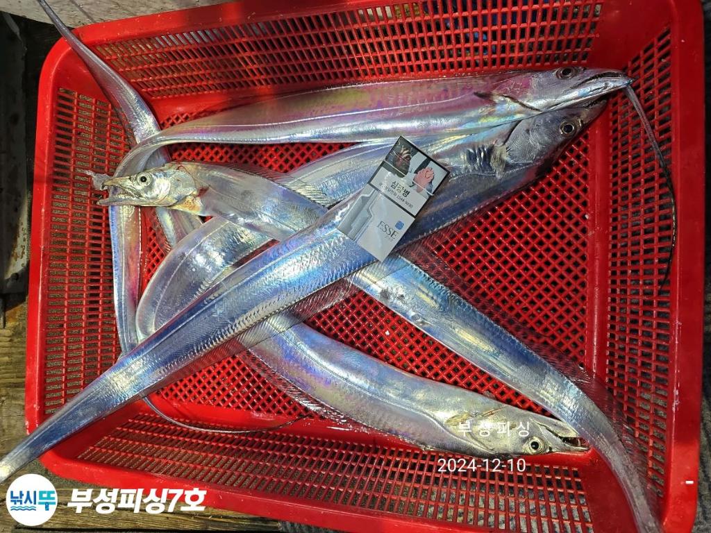 F2592964CJ.jpg