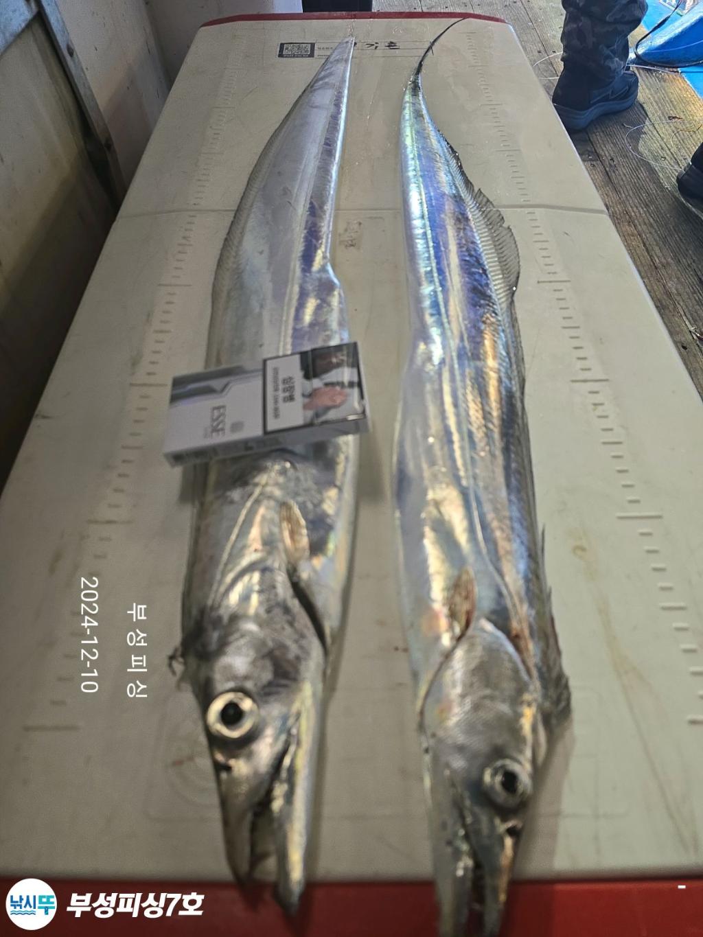 F259296548.jpg